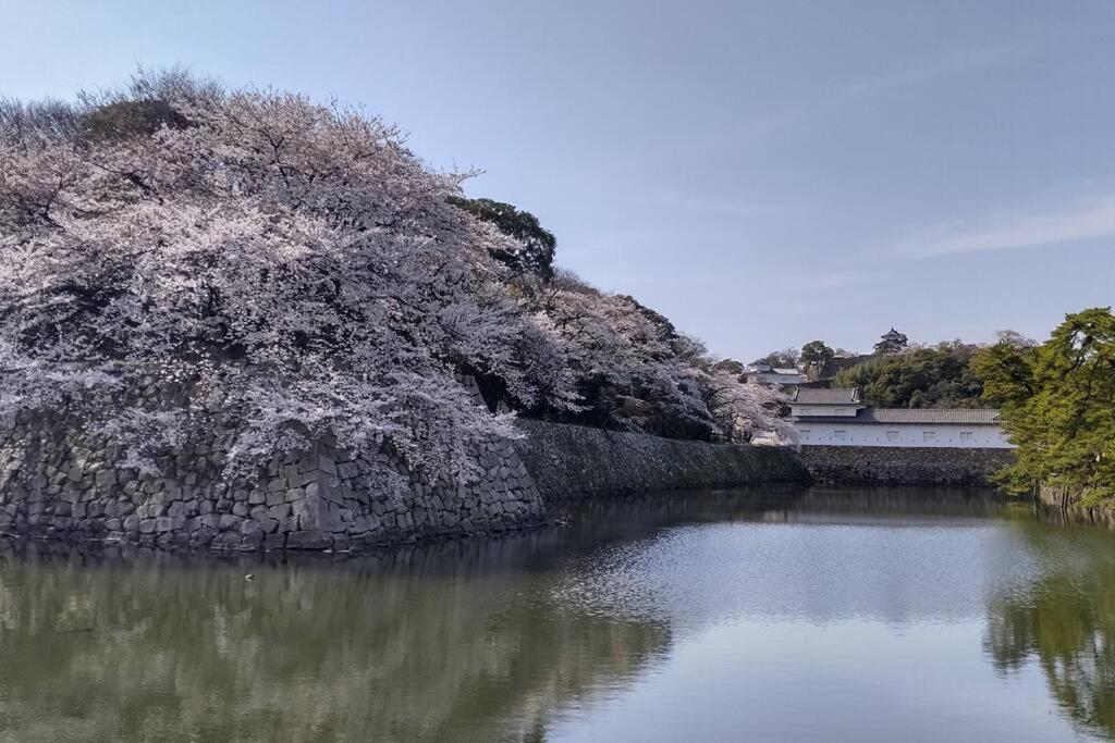 Villa Hikone Castle Luaran gambar